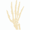 graphic icon hand